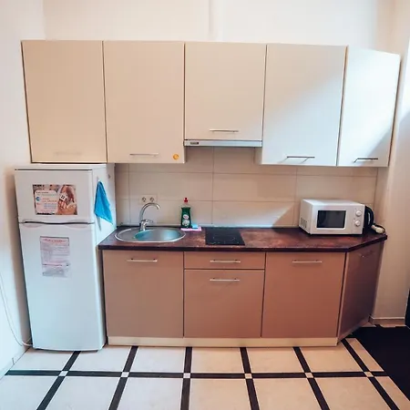 Apartment Wonderful Flat On Center Uzhhorod