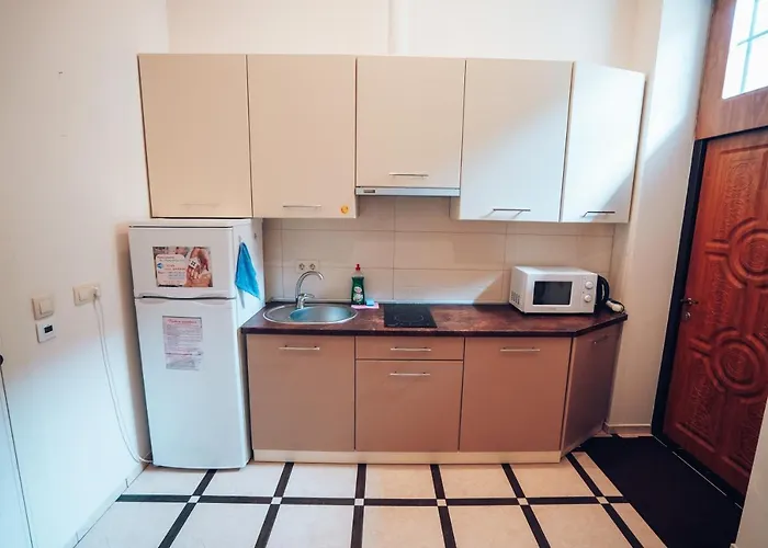 Apartment Wonderful Flat On Center Uzhhorod
